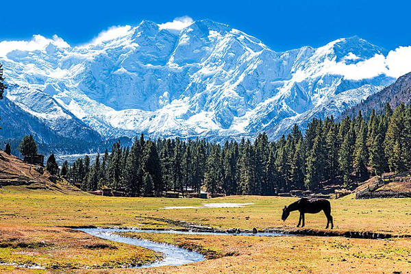 Highest Mountains in the World: The Top 10