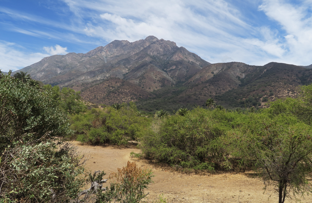 5. La Campana National Park