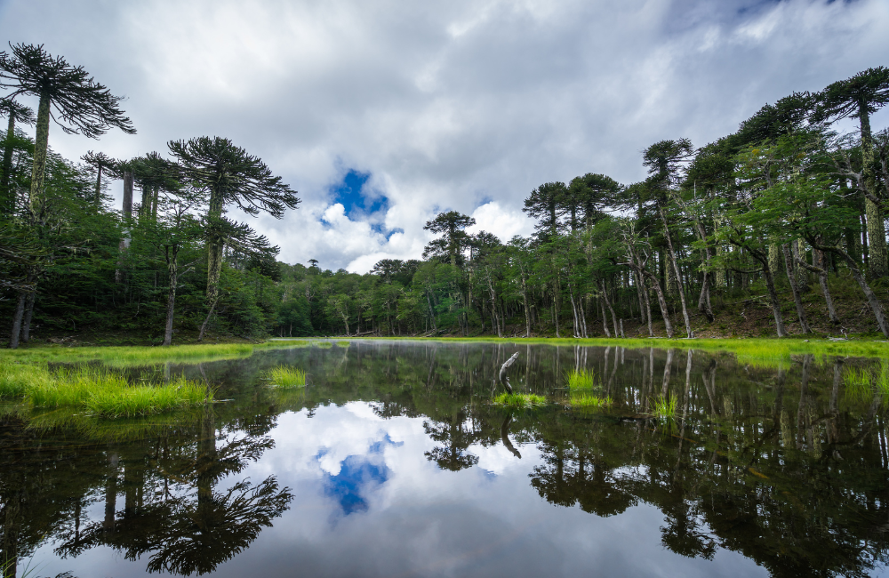 7. Laguna de los Patos