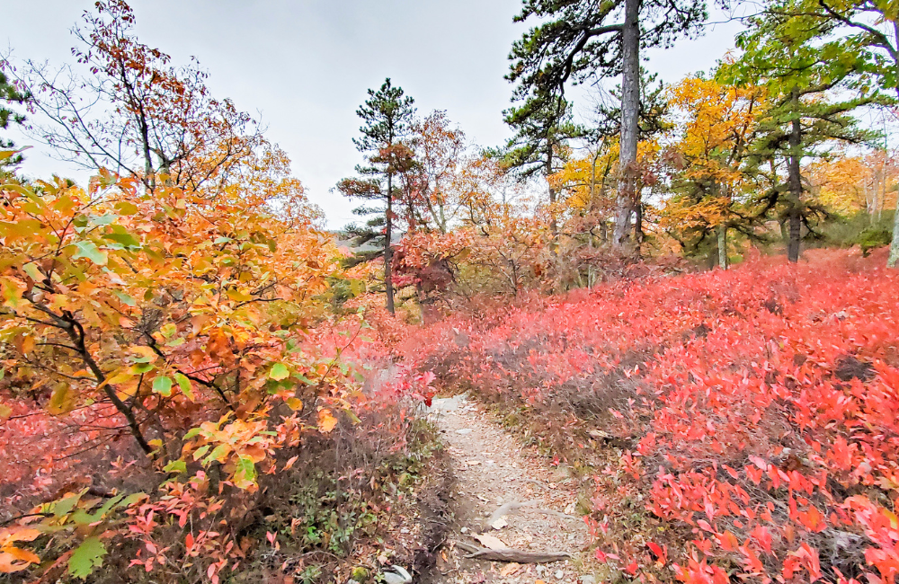 4. Minnewaska State Park: Gertrude’s Nose Trail